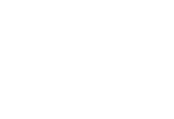 Tradissa Burger